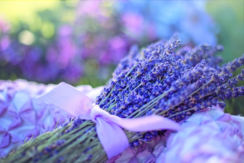 Aromatherapy Techniques